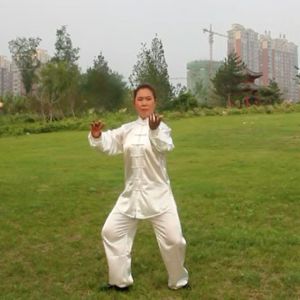 лϼʽ̫ȭ83ʽ-ڶ̫ȭƵƷ