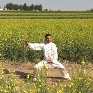 Ң̫ȭۺ·-ڶ̫ȭƵƷ