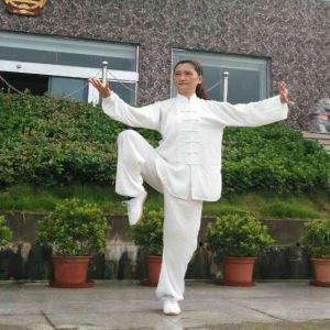 ʽ̫һ·ۼ-ڶ̫ȭƵƷ