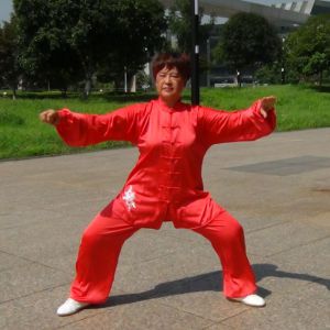 ﴫͳʽ̫ȭһ·ʮʽ -ڶ̫ȭƵƷ