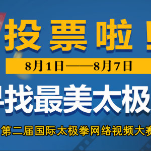 տʼͶƱΪѡּͣͶƱ⣿~