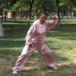 ͳʽ̫ȭСһ·-ڶ̫ȭƵƷ