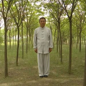 ϲԪʽ̫ȭϼһ· -ڶ̫ȭƵƷ