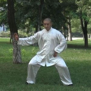 ΰ---ڶ̫ȭƵƷ--̫(̫ȭȭʦƽ̨