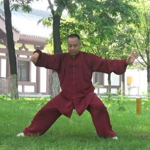 ʸ---ڶ̫ȭƵƷ--̫(̫ȭȭʦƽ̨