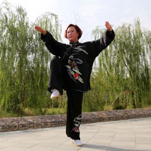 Ѧɻ ʽ̫ȭϼһ·̫-ڶ̫ȭƵƷ