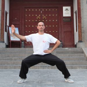 Guillaume Largeʽ̫ȭ---ڶ̫ȭƵƷ