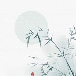 ��̫��ȭ���ۡ�̫���Ȼ�����ʶ��ѵ��