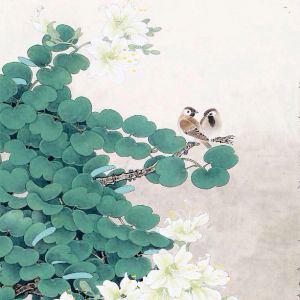 ��̫��ȭ���ۡ���̫���������ƴ����Լ�