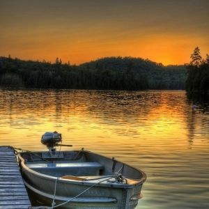 ��̫��ȭ���ۡ�վ׮ ��ѵĶ�������������