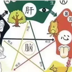 ¶¡ۡƢ䡢̡¸ ֪٣