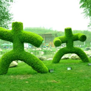 ��̫��ȭ���ۡ���ϰ̫��ȭ�����׶�