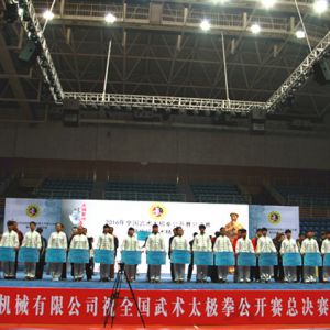 2016ȫ̫ȭܾ  ߴͳӢ