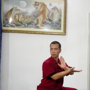 »ԣ¼ҹ»̫ȭѵԺܽ