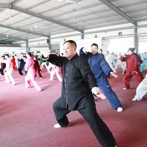 ȫ̫ȭѧУɹٰ2016λͨδ