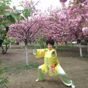 ׻ϼ2016ȡ̫ˡ̫רá