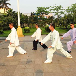 ���ۣ����������ĺ�ƽ���ľ���ѧȭ�ɹ�