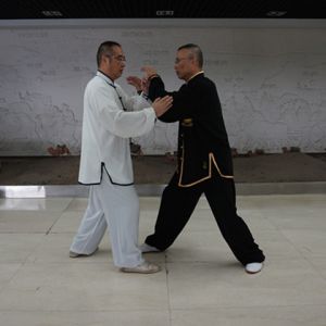 ����ƽ����ʽ̫��ȭ��ܼ����������ߣ�