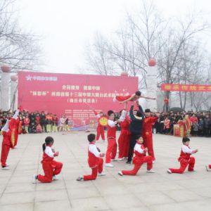 վȫ ԭ 2017ʡʮԭ̨չ