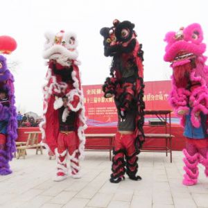 վȫ ԭ 2017ʡʮԭ̨չ