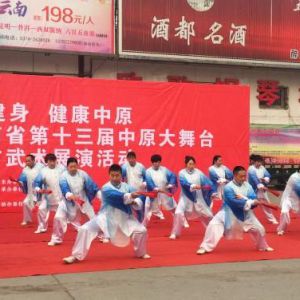 վȫ ԭ 2017ʡʮԭ̨չ