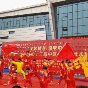 վȫ ԭ 2017ʡʮԭ̨չ