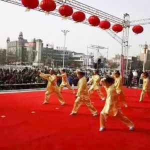 վȫ ԭ 2017ʡʮԭ̨չϵлĻ