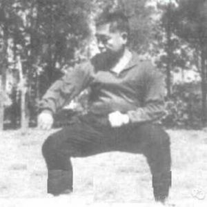 ǳ̫ȭⲻķǿѧ롰ɡĿѧںҪ