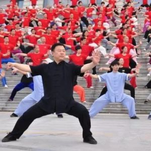 ѵ̫ԺʮĽʽ̫ȭ߼ѵ౨