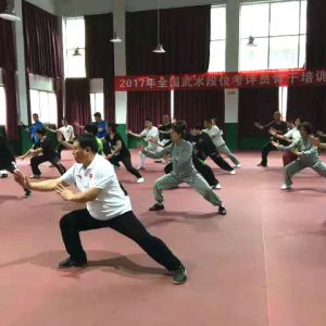 ̫Ŷν2017ȫλԱǸѵ