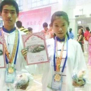 2017½ά̫ȭ߻Ǹɽ׽̫ȭ