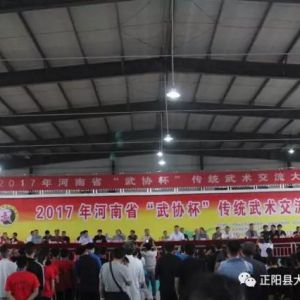 2017ʡЭͳش̫ɽׯĻ