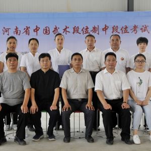 2017йλжλԣʡںʽ̫ȭѧԺ