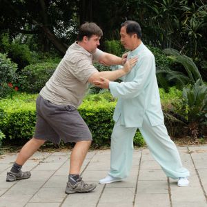 ���ۣ�̫��ȭ��ѧ�ߵ��ɳ�Ҫ��