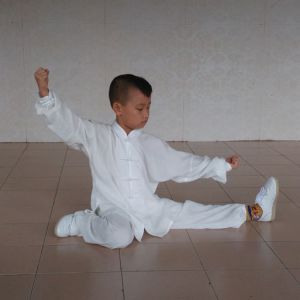 ¿ʽ̫ȭҪʮʽ---̫ȭƵƷ