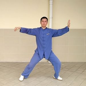 ʽ̫ȭϼһ·---̫ȭƵƷ