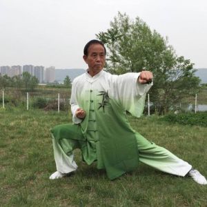 ͦʮʽ̫ȭ ---̫ȭƵƷ