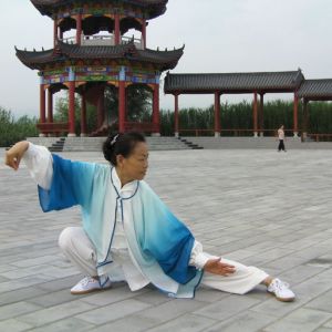 ʮʽ̫ȭ ---̫ȭƵƷ