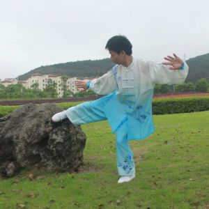 ̫ȭΰ˷ȭ ---̫ȭƵƷ