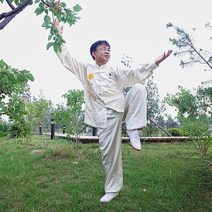 ֧ʽ̫ȭʮʽ---̫ȭƵƷ