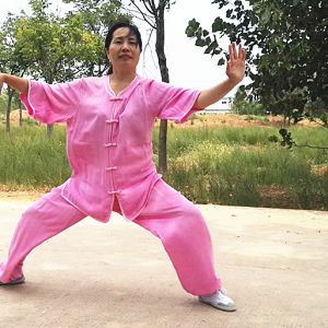 Ӣʽ̫ȭʮʽ ---̫ȭƵƷ