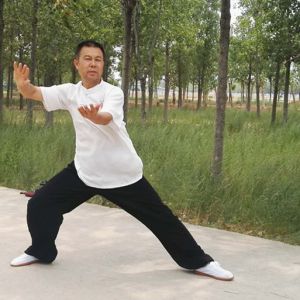 ɭ ʽ̫ȭʮʽ---̫ȭƵƷ