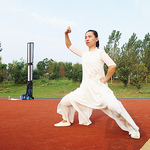 Ʒɷʽ̫ȭʮʽ ---̫ȭƵƷ