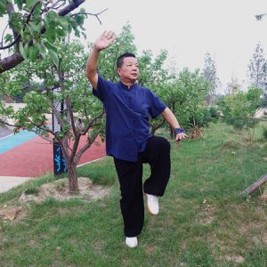 ʽ̫ȭʮʽ---̫ȭƵƷ