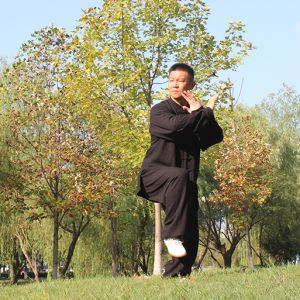 ޼λʽ̫ȭϼһ· ---̫ȭƵƷ