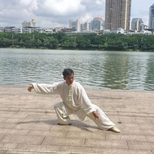 ½մͳʽ̫ȭ85ʽ---̫ȭƵƷ