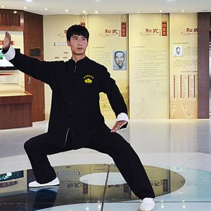 ¸߸߳ʽ̫˫ ---̫ȭƵƷ