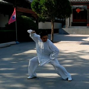 ʽ̫ȭСܶ· ---̫ȭƵƷ