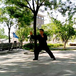 ¹̫С36ʽ ---̫ȭƵƷ