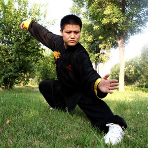 ǿͳʽ13ʽ̫ ---̫ȭƵƷ